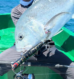 Kaio Abalone GT 110G